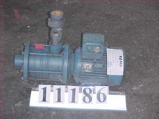 B11186_1500.jpg