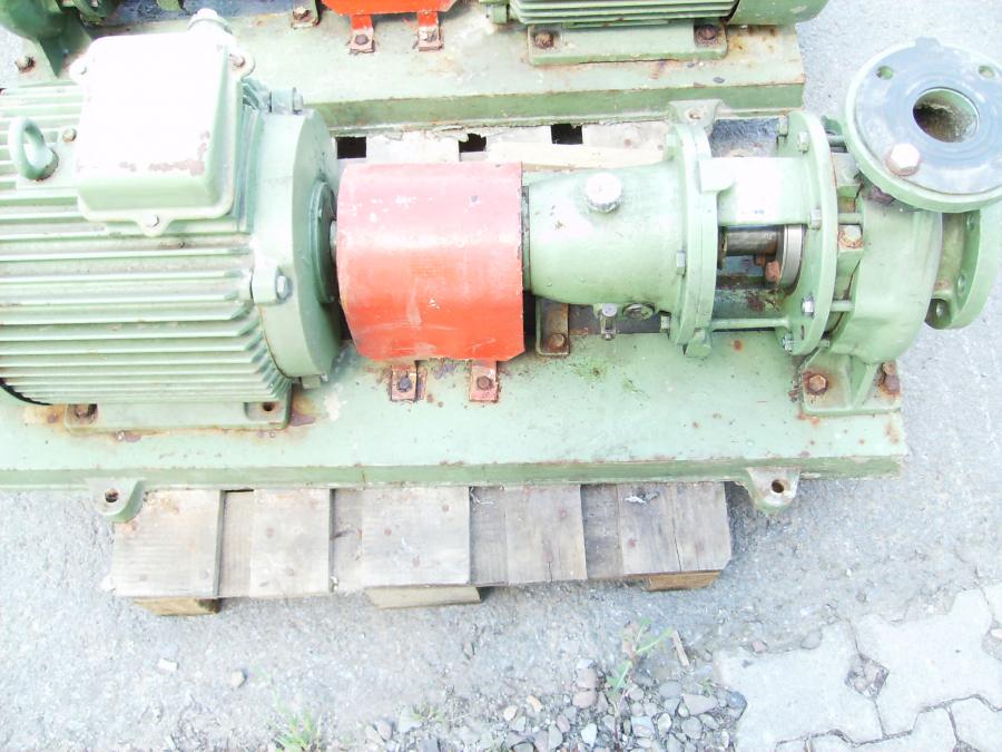 Hover das Benzin oder der Dieselmotor